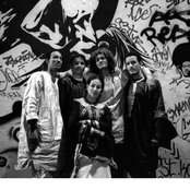 Tamikrest - List pictures