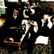 Prick - List pictures