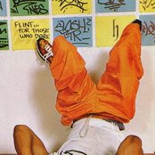 Sticky Fingaz - List pictures