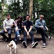 Cheatahs - List pictures