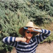 Little Wings - List pictures