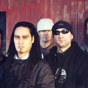 Salmonella Dub - List pictures