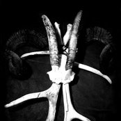 Velnias - List pictures