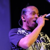 Down Low - List pictures