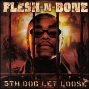 Flesh-n-bone - List pictures