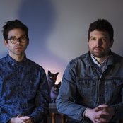 Golden Retriever - List pictures