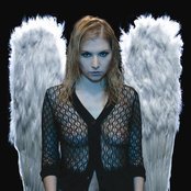 Skylark - List pictures