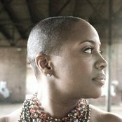 Averysunshine - List pictures