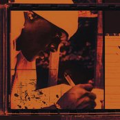 Petey Pablo - List pictures