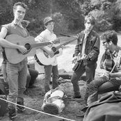 Scruffy The Cat - List pictures