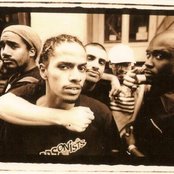 Arsonists - List pictures