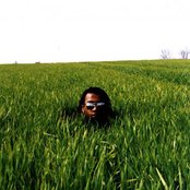 Carlton - List pictures