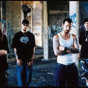 Flaw - List pictures