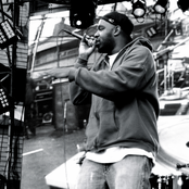 Shad - List pictures