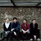 Grizzly Bear - List pictures
