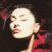 Dalbello - List pictures