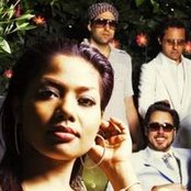 Dengue Fever - List pictures