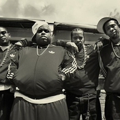 Goodie Mob - List pictures