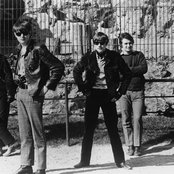 The Animals - List pictures