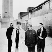 Echo & The Bunnymen - List pictures