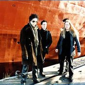 Bay Laurel - List pictures