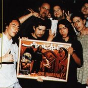 Tiro De Gracia - List pictures