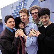 New Pornographers - List pictures