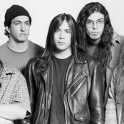 Sprung Monkey - List pictures