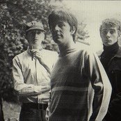 Orange Bicycle - List pictures