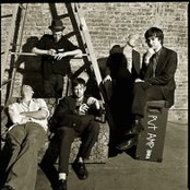 Country Teasers - List pictures