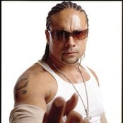 Chino Xl - List pictures