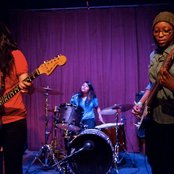 Heliotropes - List pictures