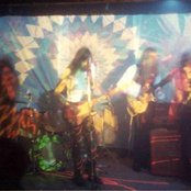 Magic Mushroom Band - List pictures