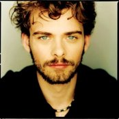 Days Of The New - List pictures