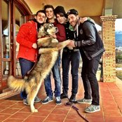 The Anthem - List pictures