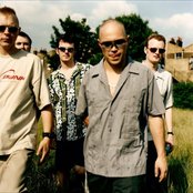 Apollo 440 - List pictures