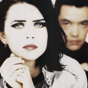 Curve - List pictures