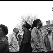 Dub Inc - List pictures