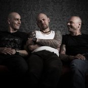 Lipa - List pictures