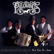 Los Palominos - List pictures