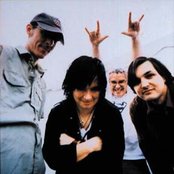 The Toadies - List pictures