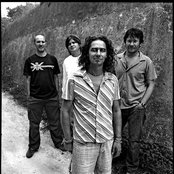 Kiscsillag - List pictures