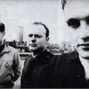 Death In June - List pictures