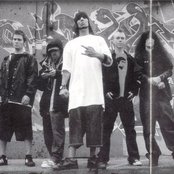 Hed Pe - List pictures