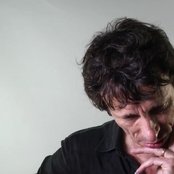 Steve Taylor - List pictures