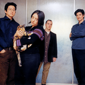 The Magnetic Fields - List pictures