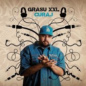Grasu Xxl - List pictures
