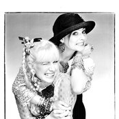 Voice Of The Beehive - List pictures