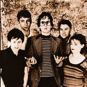Pulp - List pictures