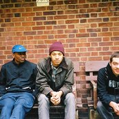 Ratking - List pictures